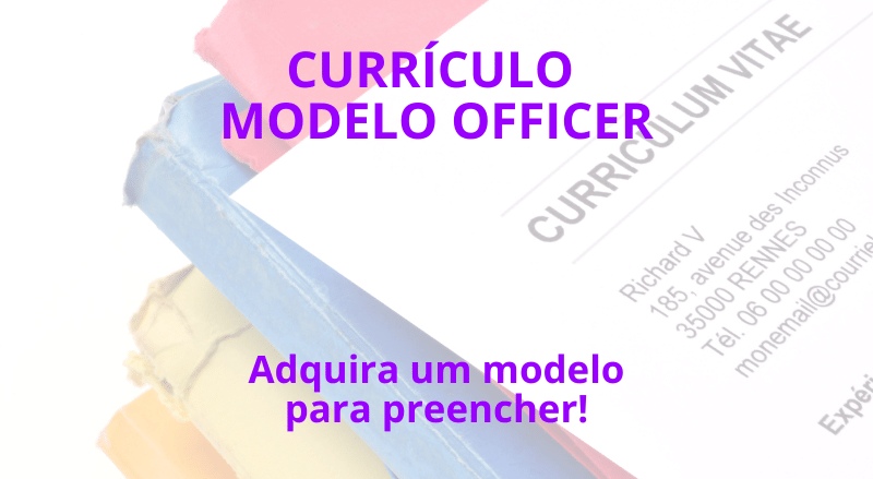 curriculum modelo
