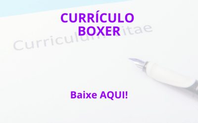 Modelo de Currículo Atualizado Boxer